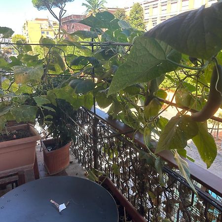 Bed and Breakfast La Fontana di Carlotta Roma Esterno foto