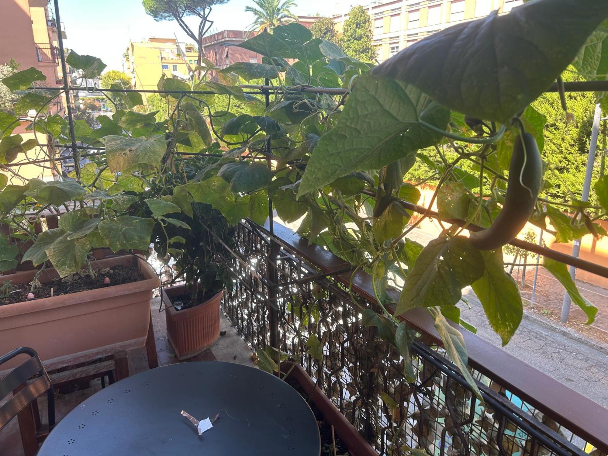 Bed and Breakfast La Fontana di Carlotta Roma Esterno foto