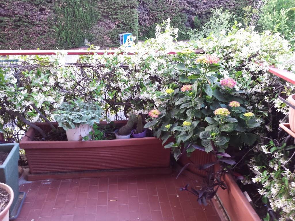 Bed and Breakfast La Fontana di Carlotta Roma Esterno foto